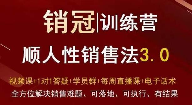 爆款！销冠训练营3.0之顺人性销售法，全方位解决销售难题、可落地、可执行、有结果-康仁安资源