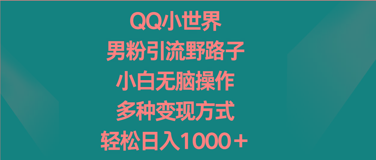 QQ小世界男粉引流野路子，小白无脑操作，多种变现方式轻松日入1000＋-康仁安资源