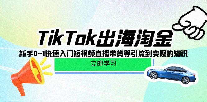 (10035期)TikTok-出海淘金，新手0-1快速入门短视频直播带货等引流到变现的知识-康仁安资源