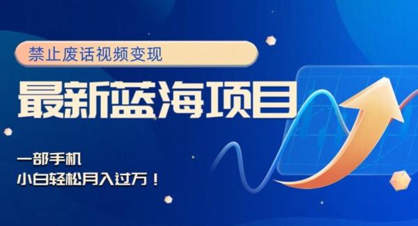 最新蓝海项目，靠禁止废话视频变现，一部手机，小白轻松月入过万！-康仁安资源