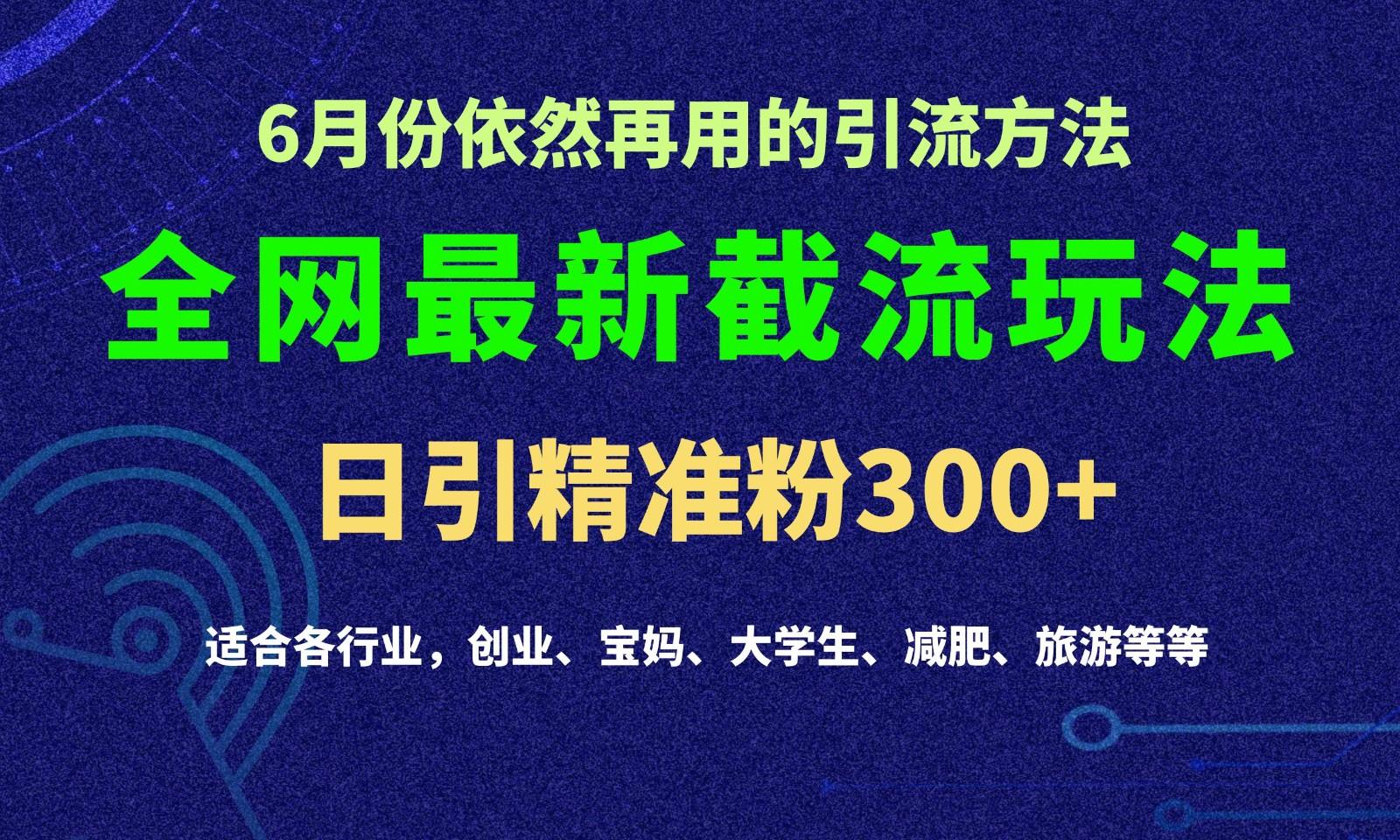 2024全网最新截留玩法，每日引流突破300+-康仁安资源