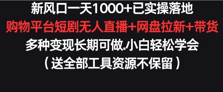 新风口一天1000+已实操落地购物平台短剧无人直播+网盘拉新+带货多种变现长期可做【揭秘】-康仁安资源