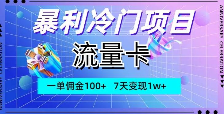 暴利冷门项目，流量卡，一单佣金100+，7天变现1w+-康仁安资源