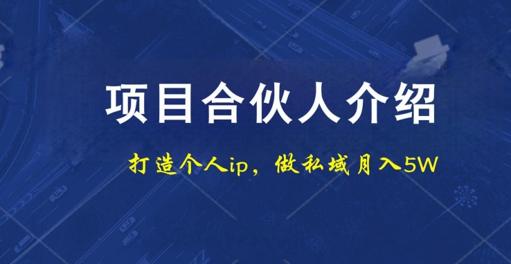项目合伙人项目，打造个人IP，做私域月入5W，小白勿扰-康仁安资源