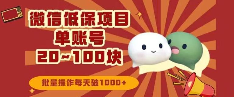 微信领低保单账号20元-100元，批量操作每天破1000+-康仁安资源