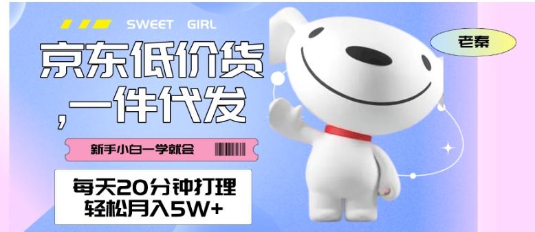 每天20分钟打理京东低价货，一件代发-轻松月入5W＋-康仁安资源