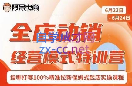 阿呆电商·全店动销经营模式特训营(线下录音+思维导图)-康仁安资源