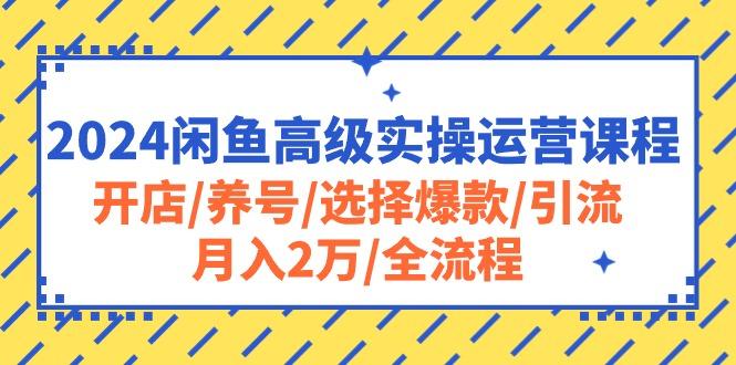 2024闲鱼高级实操运营课程：开店/养号/选择爆款/引流/月入2万/全流程-康仁安资源