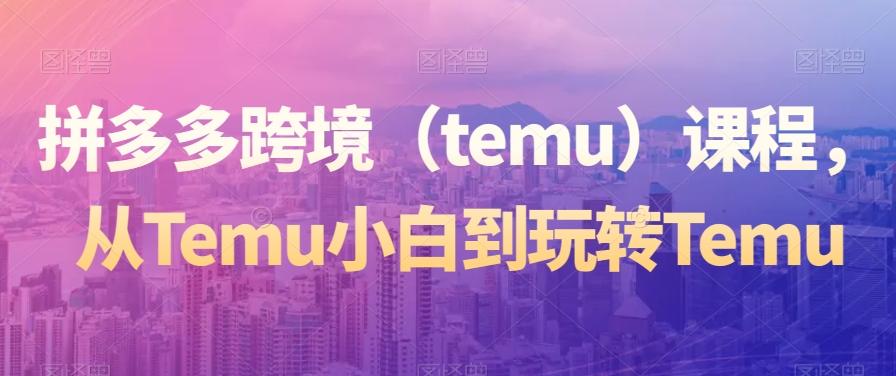 拼多多跨境（temu）课程，从Temu小白到玩转Temu-康仁安资源