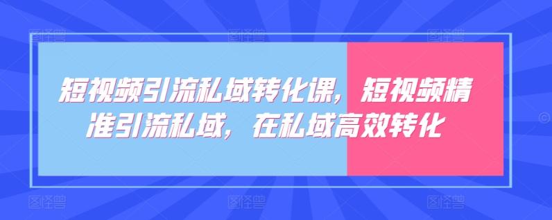 短视频引流私域转化课，短视频精准引流私域，在私域高效转化-康仁安资源