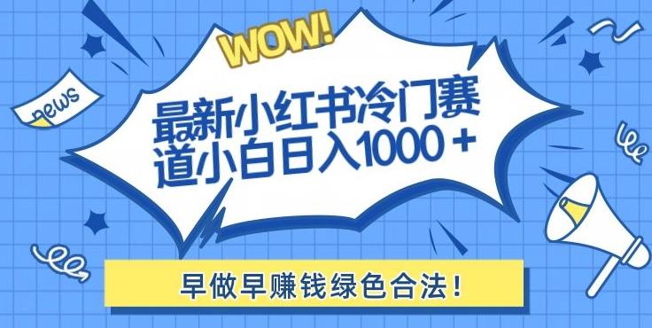 最新小红书冷门赛道日入1000+一部手机小白轻松-康仁安资源