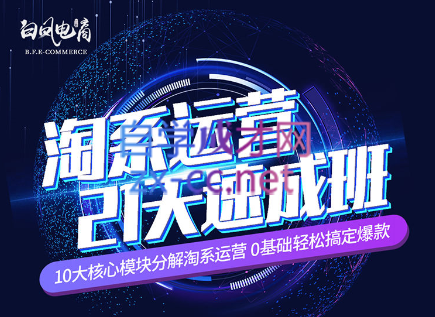 淘系运营21天速成班(更新7月)-康仁安资源