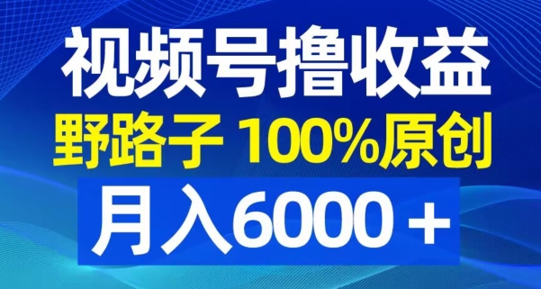 视频号野路子撸收益，100%原创，条条爆款，月入6000＋【揭秘】-康仁安资源