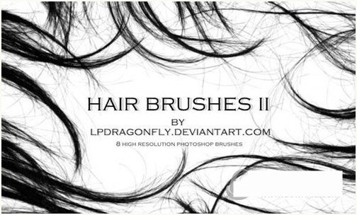 PS发丝笔刷-康仁安资源