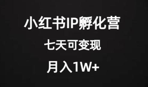 价值2000+的小红书IP孵化营项目，超级大蓝海，七天即可开始变现，稳定月入1W+-康仁安资源