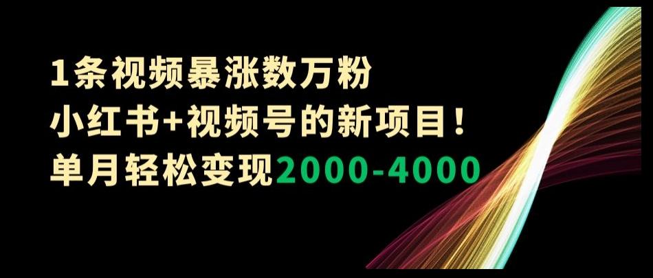 1条视频暴涨数万粉--小红书+视频号的新项目！单月轻松变现2000-4000【揭秘】-康仁安资源