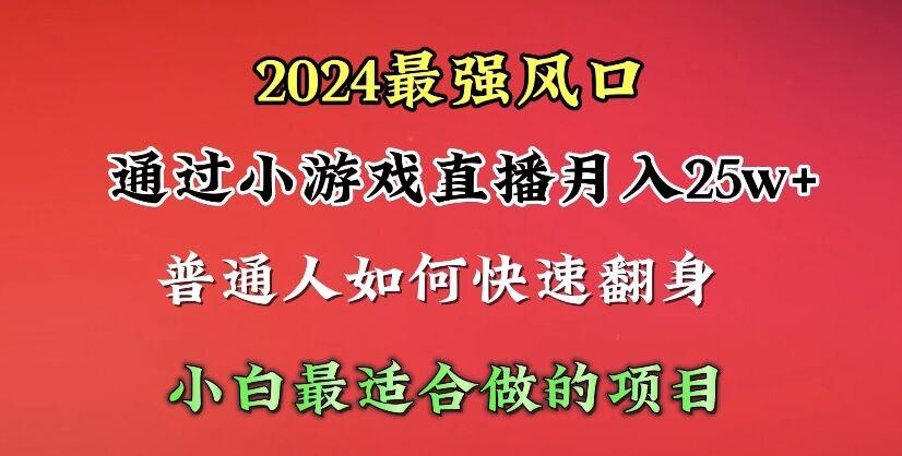 (10020期)2024年最强风口，通过小游戏直播月入25w+单日收益5000+小白最适合做的项目-康仁安资源