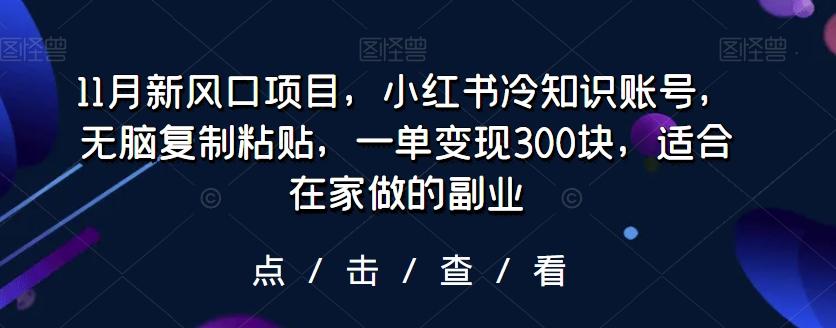 11月新风口项目，小红书冷知识账号，无脑复制粘贴，一单变现300块，适合在家做的副业-康仁安资源