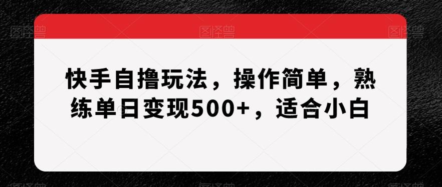 快手自撸玩法，操作简单，熟练单日变现500+，适合小白【揭秘】-康仁安资源