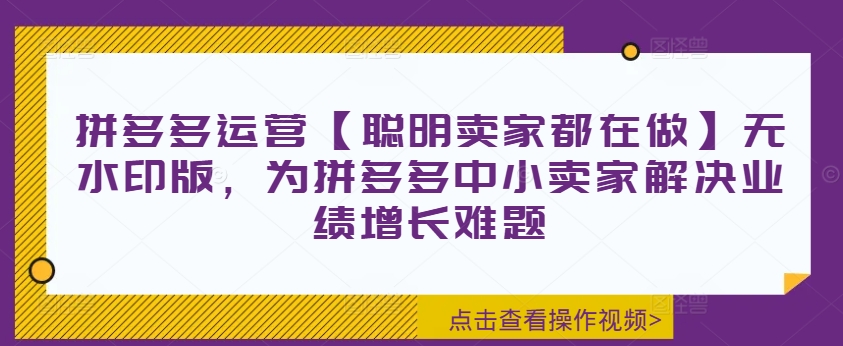 拼多多运营【聪明卖家都在做】无水印版，为拼多多中小卖家解决业绩增长难题-康仁安资源