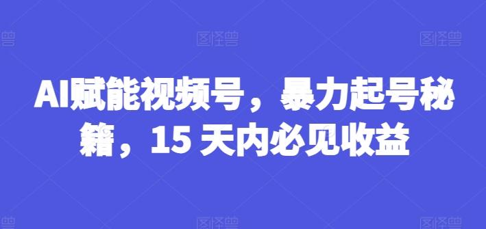 AI赋能视频号，暴力起号秘籍，15 天内必见收益【揭秘】-康仁安资源