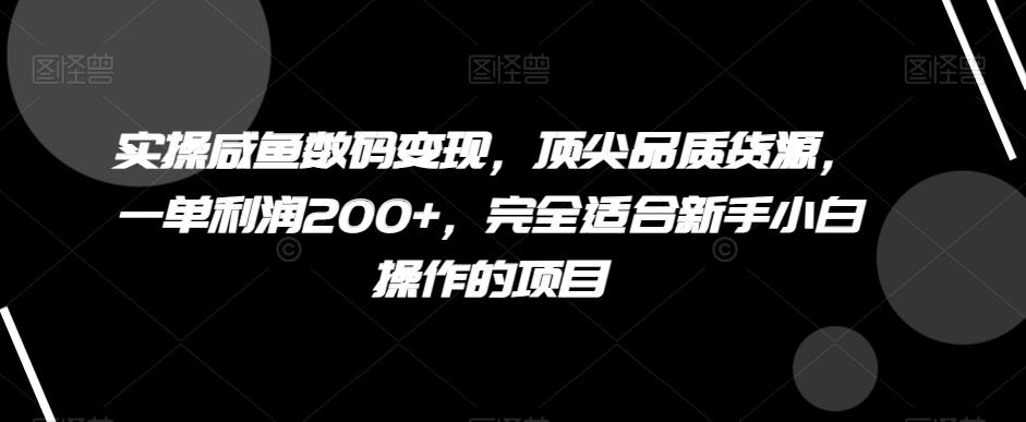 实操咸鱼数码变现，顶尖品质货源，一单利润200+，完全适合新手小白操作的项目【揭秘】-康仁安资源