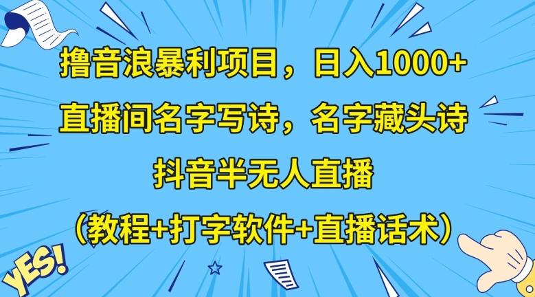 撸音浪暴利项目，日入1000+，直播间名字写诗，名字藏头诗，抖音半无人直播（教程+打字软件+直播话术）【揭秘】-康仁安资源