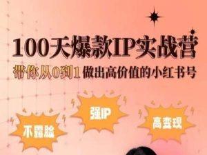小红书100天爆款IP实战营，带你从0到1做出高价值的小红书号-康仁安资源