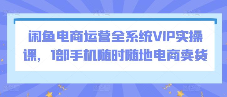 闲鱼电商运营全系统VIP实操课，1部手机随时随地电商卖货-康仁安资源