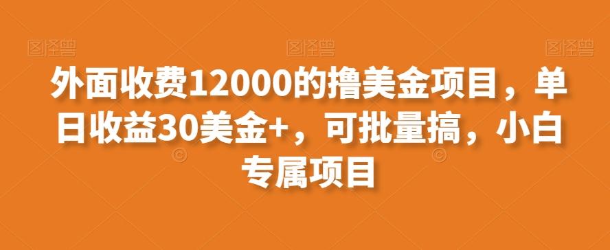 外面收费12000的撸美金项目，单日收益30美金+，可批量搞，小白专属项目-康仁安资源