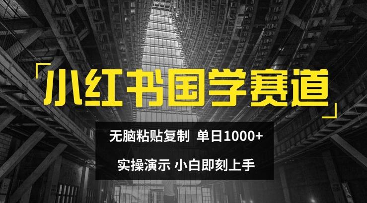 小红书国学赛道，无脑粘贴复制，单日1K，实操演示，小白即刻上手【揭秘】-康仁安资源