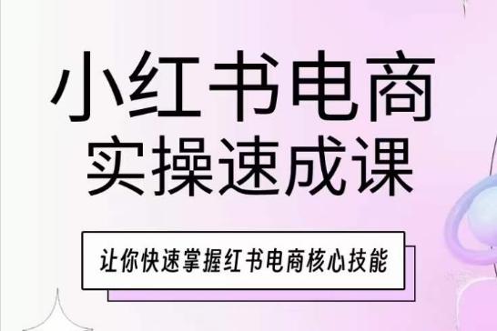 小红书电商实操速成课，让你快速掌握红书电商核心技能-康仁安资源