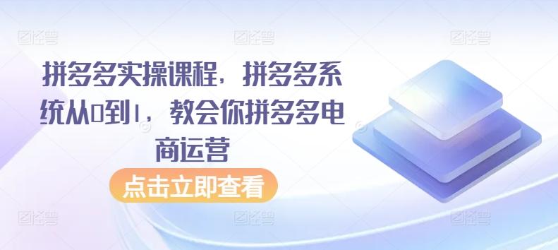 拼多多实操课程，拼多多系统从0到1，教会你拼多多电商运营-康仁安资源
