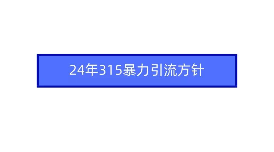(9398期)2024年315暴力引流方针-康仁安资源