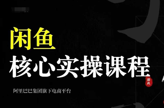 2024闲鱼核心实操课程，从养号、选品、发布、销售，教你做一个出单的闲鱼号-康仁安资源