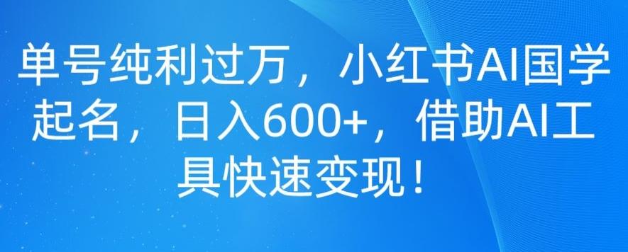 单号纯利过万，小红书AI国学起名，日入600+，借助AI工具快速变现-康仁安资源
