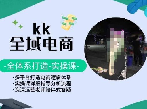 KK全域电商，全体系打造实操课，多平台打造电商逻辑体系-康仁安资源