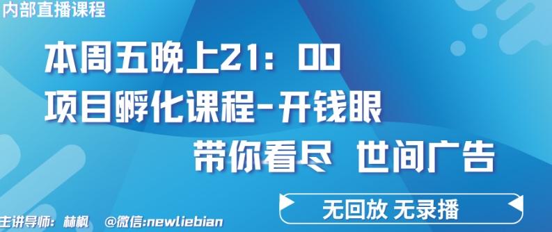 4.26日内部回放课程《项目孵化-开钱眼》赚钱的底层逻辑【揭秘】-康仁安资源