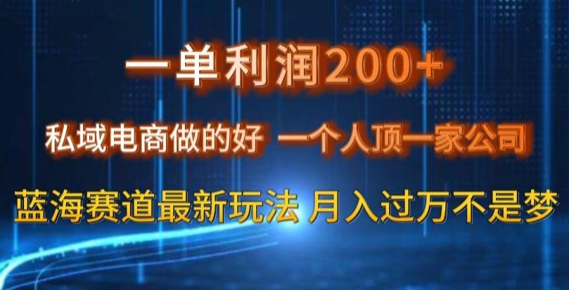 一单利润200私域电商做的好，一个人顶一家公司蓝海赛道最新玩法【揭秘】-康仁安资源