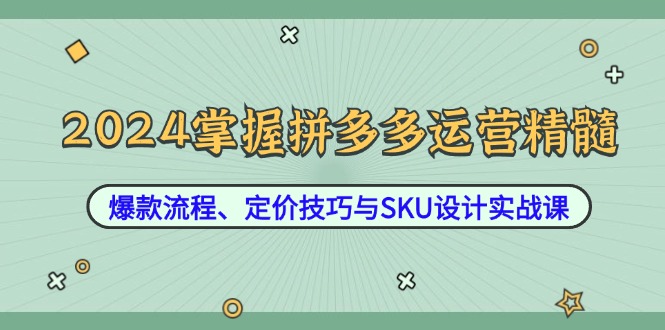 2024掌握拼多多运营精髓：爆款流程、定价技巧与SKU设计实战课-康仁安资源