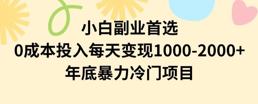 小白副业首选，0成本投入，每天变现1000-2000年底暴力冷门项目【揭秘】-康仁安资源