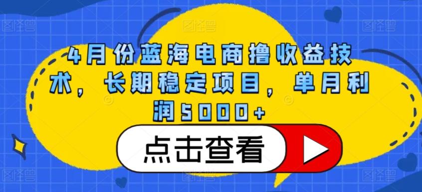 4月份蓝海电商撸收益技术，长期稳定项目，单月利润5000+【揭秘】-康仁安资源