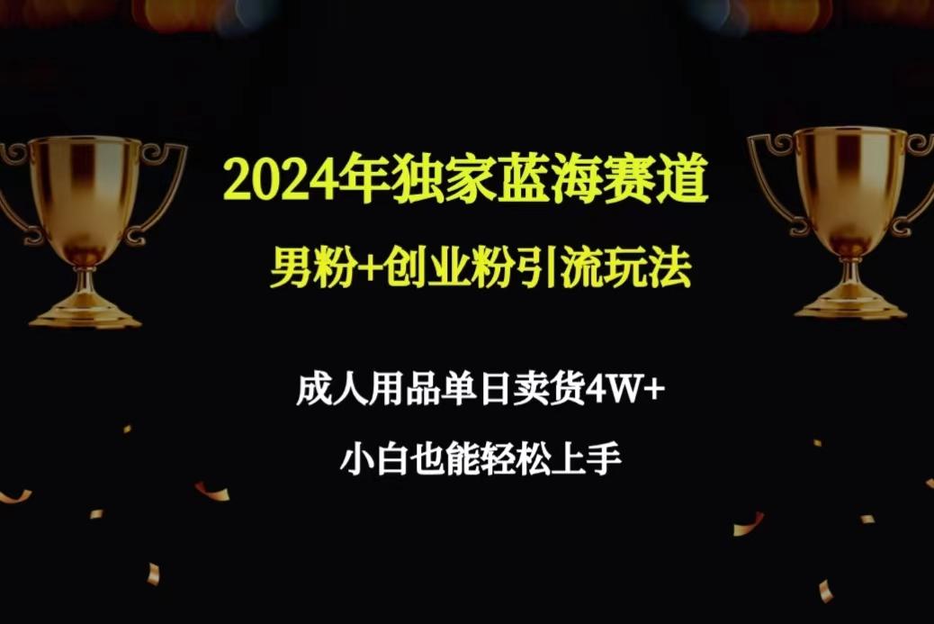 2024年独家蓝海赛道男粉+创业粉引流玩法，成人用品单日卖货4W+保姆教程-康仁安资源