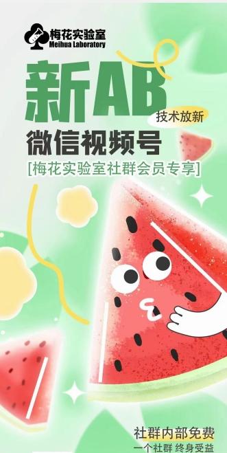 梅花实验室2024年AB技术视频号AB合成破解版-康仁安资源