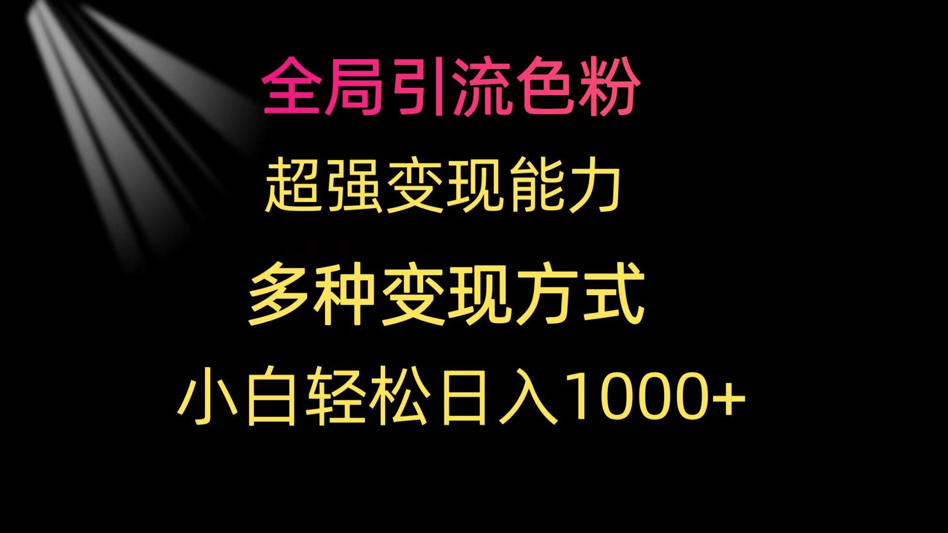 (9680期)全局引流色粉 超强变现能力 多种变现方式 小白轻松日入1000+-康仁安资源