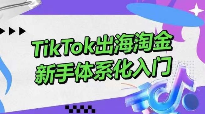 TikTok出海淘金，新手体系化入门，零基础快速入门，掌握短视频、直播带货等引流到变现的知识-康仁安资源