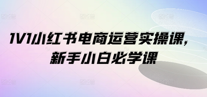 1V1小红书电商运营实操课，新手小白必学课-康仁安资源