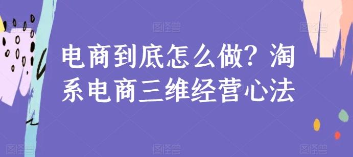 电商到底怎么做？淘系电商三维经营心法-康仁安资源