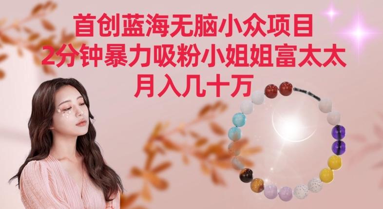 首创蓝海无脑小众项目，2分钟暴力吸粉小姐姐富太太，月入几十万【揭秘】-康仁安资源