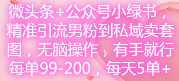 微头条+公众号小绿书，精准引流男粉到私域卖套图，无脑操作，有手就行，每单99-200，每天5单-康仁安资源